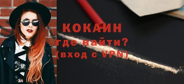 крисы Баксан