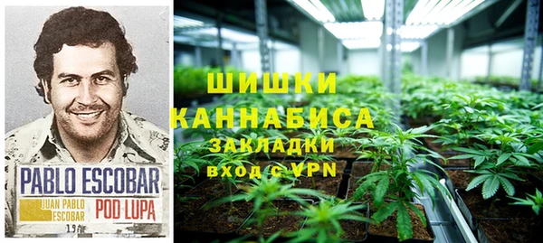 крисы Баксан