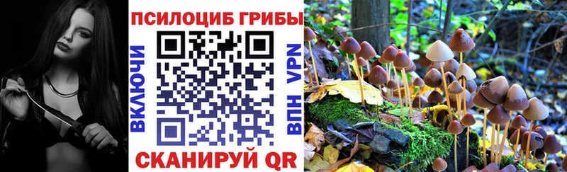 Купить закладки  Серафимович  Псилоцибиновые грибы мицелий 